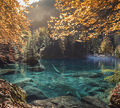  藍湖 Blausee